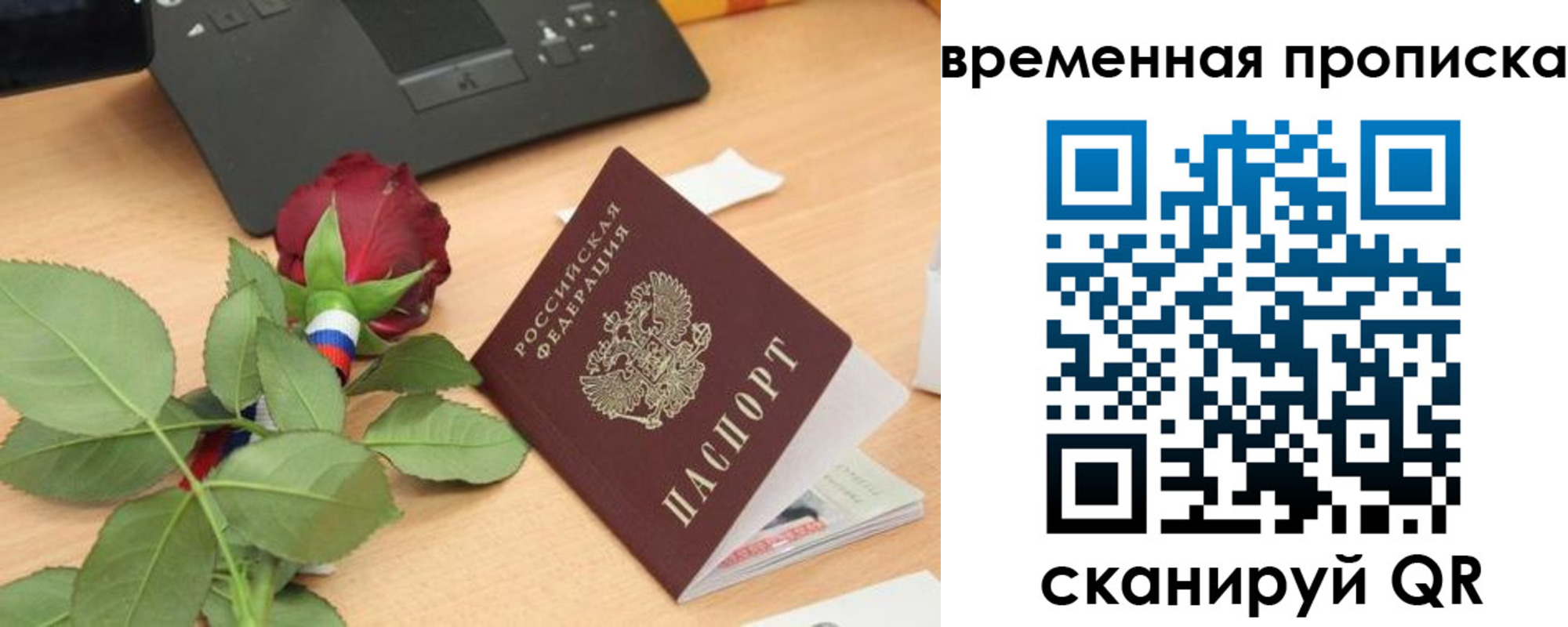 временная регистрация поиск в Николаевске